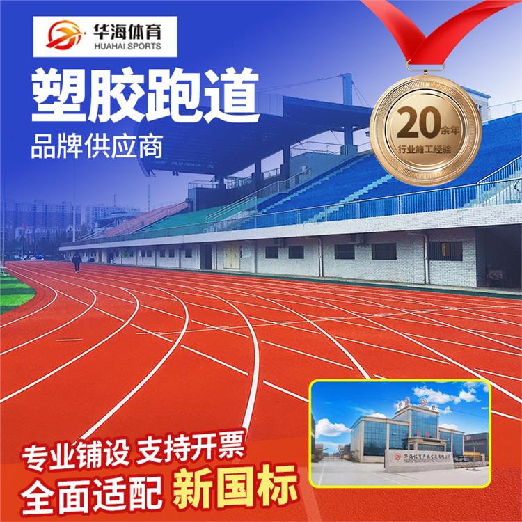 内江市epdm颗粒预制跑道卷材 - 厂家