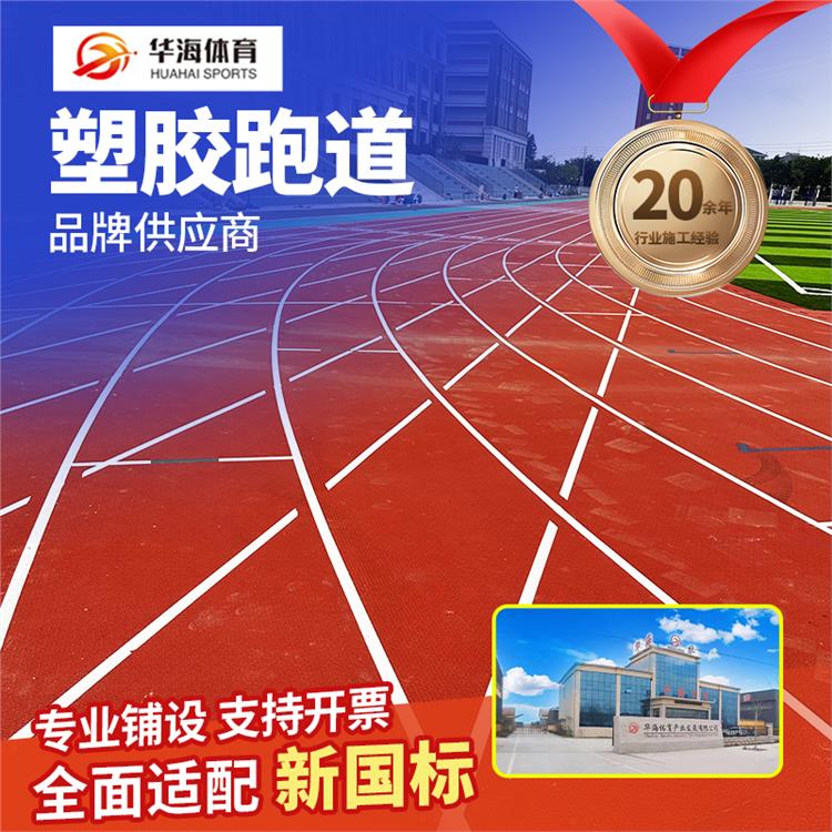 内江市人造草坪预制型橡胶跑道 - 厂家
